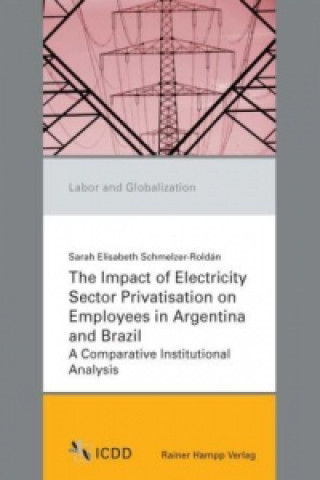 The Impact of Electricity Sector Privatisation on Employees in Argentina and Brazil