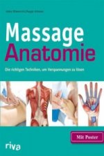 Massage-Anatomie, m. Poster