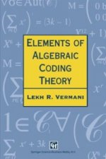 Elements of Algebraic Coding Theory