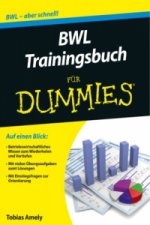 BWL Trainingsbuch fur Dummies