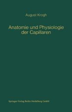 Anatomie und Physiologie der Capillaren