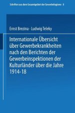 Internationale UEbersicht UEber Gewerbekrankheiten Nach Den Berichten Der Gewerbeinspektionen Der Kulturlander UEber Das Jahr 1913