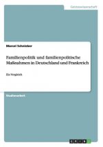 Familienpolitik und familienpolitische Maßnahmen in Deutschland und Frankreich