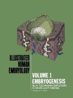 Embryogenesis