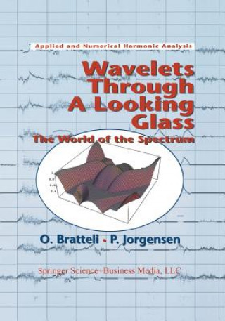 Wavelets Through a Looking Glass