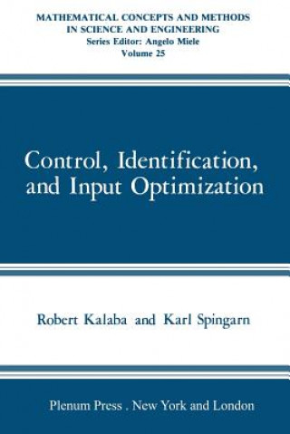 Control, Identification, and Input Optimization