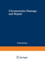 Chromosome Damage and Repair