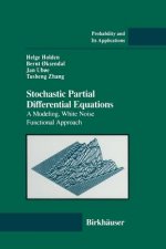 Stochastic Partial Differential Equations, 1