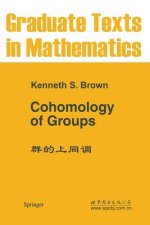 Cohomology of Groups, 1