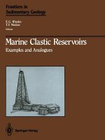 Marine Clastic Reservoirs