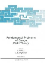 Fundamental Problems of Gauge Field Theory