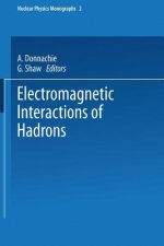 Electromagnetic Interactions of Hadrons