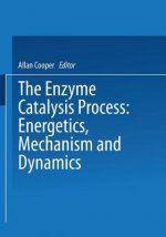 Enzyme Catalysis Process