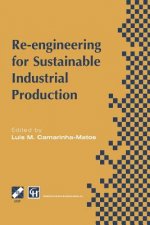Re-engineering for Sustainable Industrial Production, 1