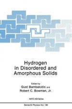 Hydrogen in Disordered and Amorphous Solids