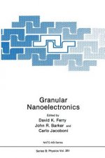 Granular Nanoelectronics, 1