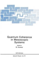 Quantum Coherence in Mesoscopic Systems, 1