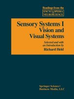 Sensory System I