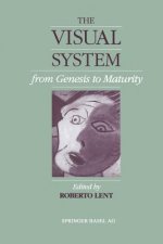 Visual System from Genesis to Maturity