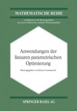 Anwendungen Der Linearen Parametrischen Optimierung