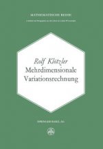 Mehrdimensionale Variationsrechnung