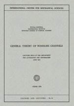 General Theory of Noiseless Channels