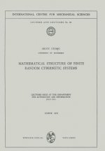 Mathematical Structure of Finite Random Cybernetic Systems