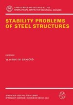 Stability Problems of Steel Structures