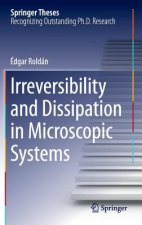 Irreversibility and Dissipation in Microscopic Systems