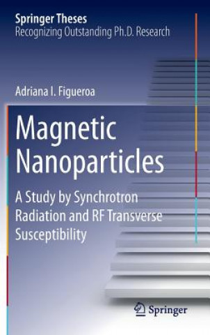 Magnetic Nanoparticles