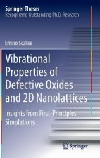 Vibrational Properties of Defective Oxides and 2D Nanolattices