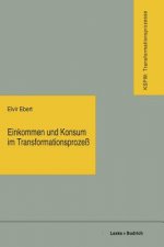 Einkommen Und Konsum Im Transformationsproze