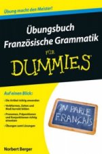 UEbungsbuch Franzoesische Grammatik fur Dummies