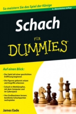 Schach fur Dummies