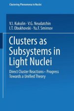 Clusters as Subsystems in Light Nuclei