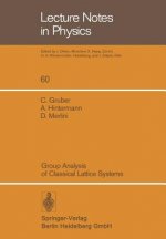 Group Analysis of Classical Lattice Systems, 1