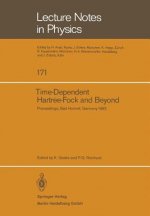 Time Dependent Hartree-Fock and Beyond