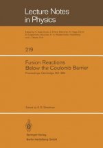 Fusion Reactions Below the Coulomb Barrier