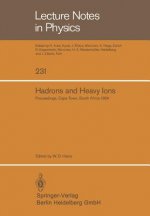 Hadrons and Heavy Ions