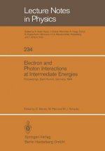 Electron and Photon Interactions at Intermediate Energies