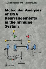 Molecular Analysis of DNA Rearrangements in the Immune System