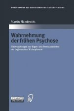 Wahrnehmung Der Fr hen Psychose