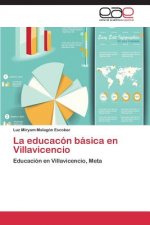 educacon basica en Villavicencio
