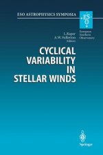 Cyclical Variability in Stellar Winds, 1