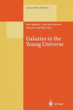 Galaxies in the Young Universe