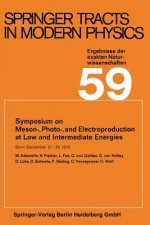Symposium on Meson-, Photo-, and Electroproduction at Low and Intermediate Energies