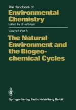 Natural Environment and the Biogeochemical Cycles