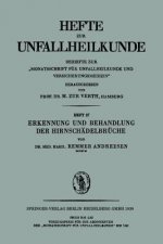 Erkennung Und Behandlung Der Hirnsch delbr che
