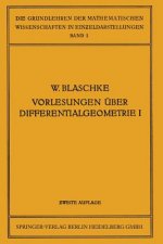 Vorlesungen  ber Differentialgeometrie Und Geometrische Grundlagen Von Einsteins Relativit tstheorie I