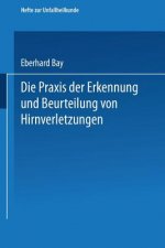 Praxis Der Erkennung Und Beurteilung Von Hirnverletzungen